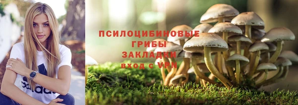 марки lsd Инсар