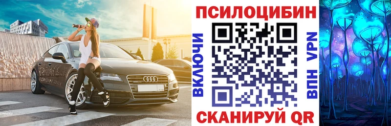 Купить закладки  Пущино  Галлюциногенные грибы мицелий 